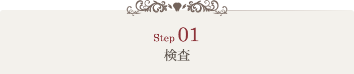 STEP1:検査(画像指定、以下同様に)